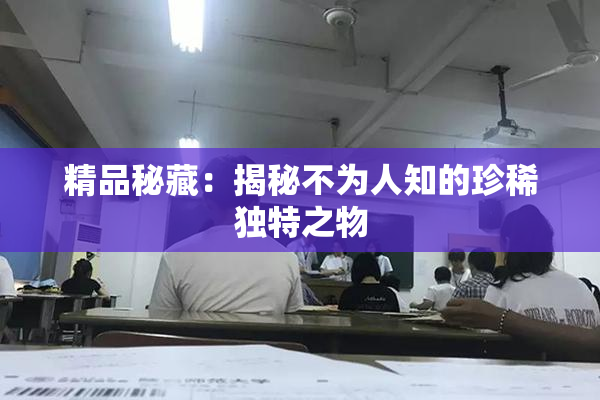 精品秘藏：揭秘不为人知的珍稀独特之物
