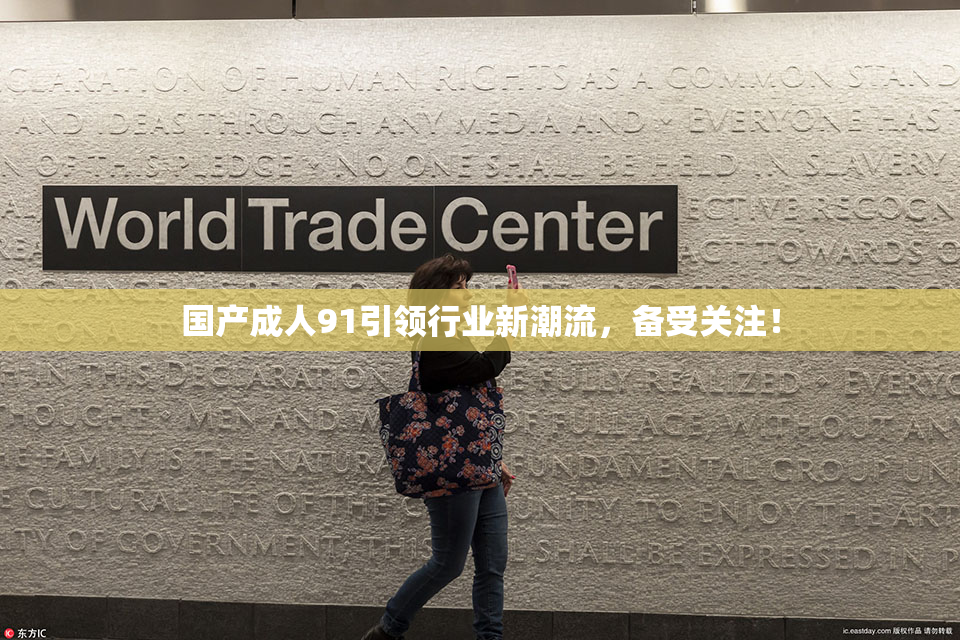 国产成人91引领行业新潮流，备受关注！