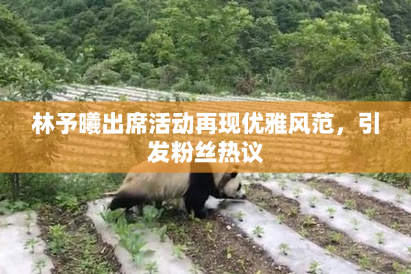 林予曦出席活动再现优雅风范，引发粉丝热议