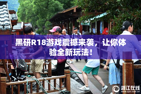 黑研R18游戏震撼来袭，让你体验全新玩法！