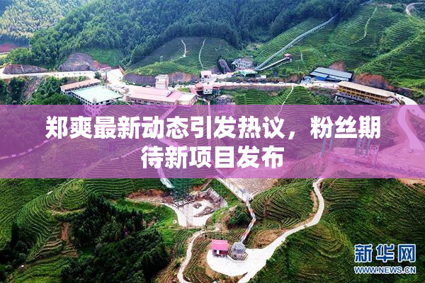 郑爽最新动态引发热议，粉丝期待新项目发布