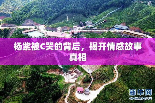 杨紫被C哭的背后，揭开情感故事真相