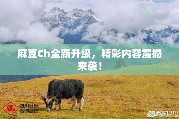 麻豆Ch全新升级，精彩内容震撼来袭！