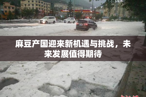 麻豆产国迎来新机遇与挑战，未来发展值得期待