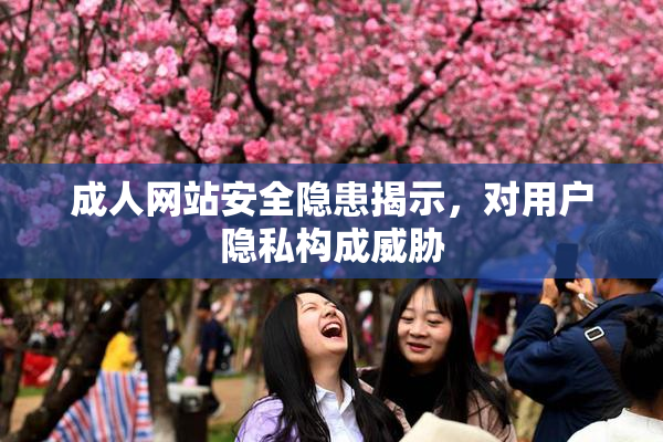 成人网站安全隐患揭示，对用户隐私构成威胁