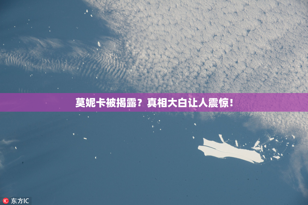 莫妮卡被揭露？真相大白让人震惊！