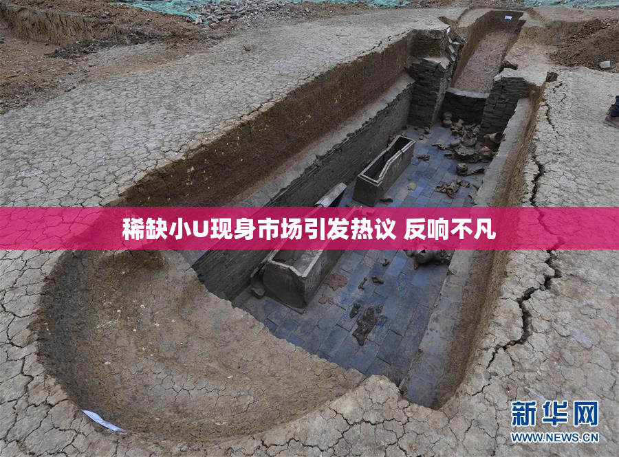 稀缺小U现身市场引发热议 反响不凡