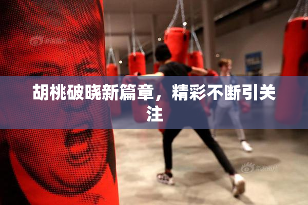 胡桃破晓新篇章，精彩不断引关注