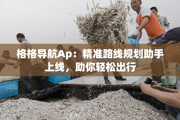 格格导航Ap：精准路线规划助手上线，助你轻松出行