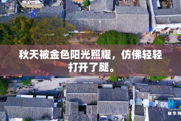 秋天被金色阳光照耀，仿佛轻轻打开了腿。