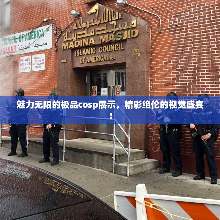 魅力无限的极品cosp展示，精彩绝伦的视觉盛宴！