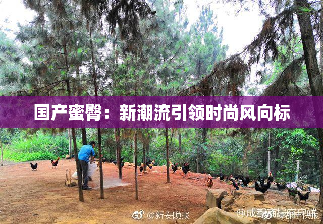 国产蜜臀：新潮流引领时尚风向标