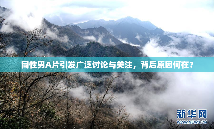 同性男A片引发广泛讨论与关注，背后原因何在？