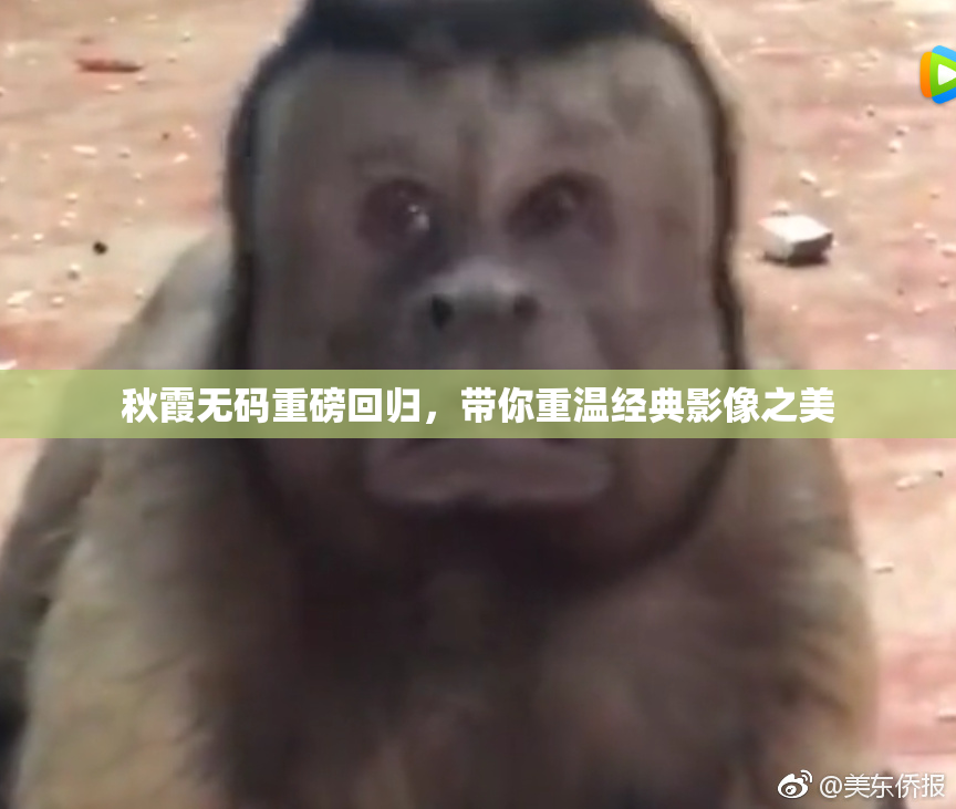 秋霞无码重磅回归，带你重温经典影像之美
