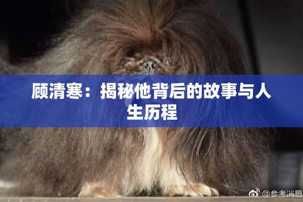 顾清寒：揭秘他背后的故事与人生历程