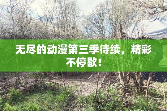 无尽的动漫第三季待续，精彩不停歇！