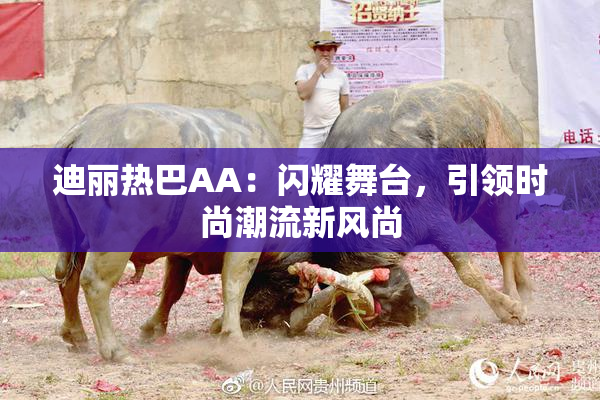 迪丽热巴AA：闪耀舞台，引领时尚潮流新风尚