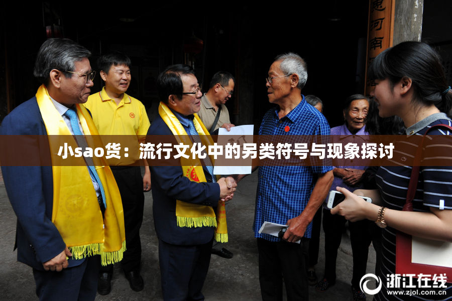小sao货：流行文化中的另类符号与现象探讨