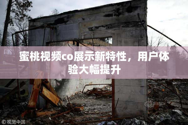 蜜桃视频co展示新特性，用户体验大幅提升