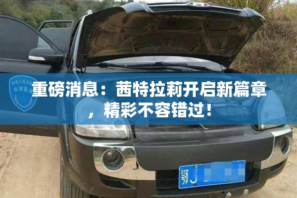 重磅消息：茜特拉莉开启新篇章，精彩不容错过！
