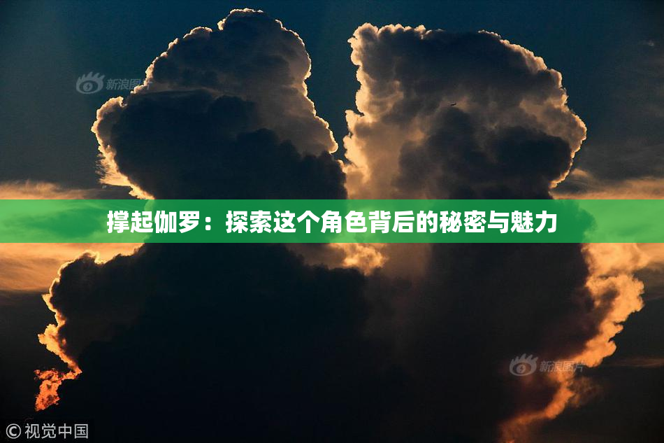 撑起伽罗：探索这个角色背后的秘密与魅力