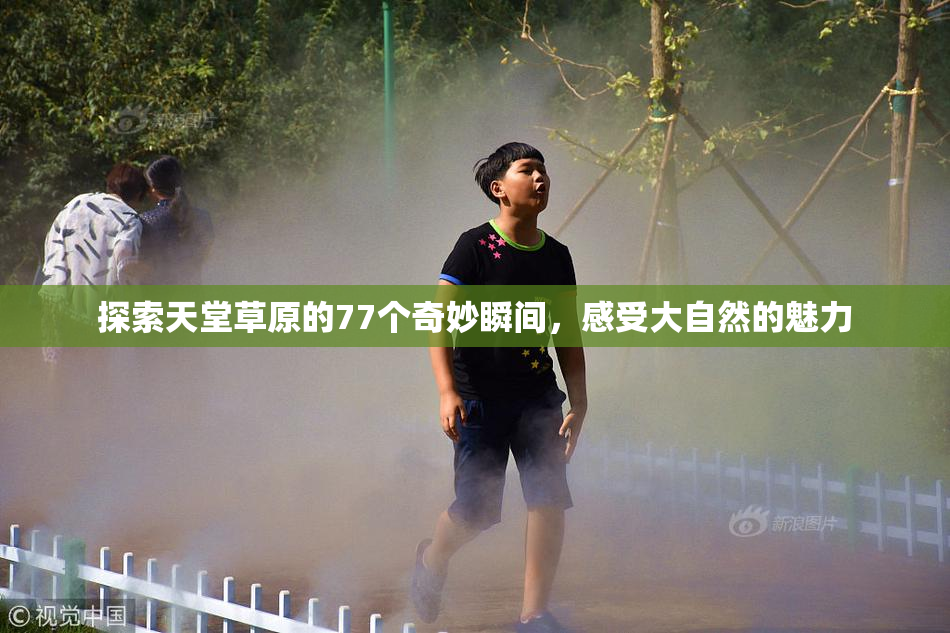 探索天堂草原的77个奇妙瞬间，感受大自然的魅力