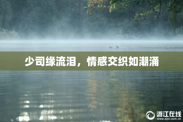 少司缘流泪，情感交织如潮涌