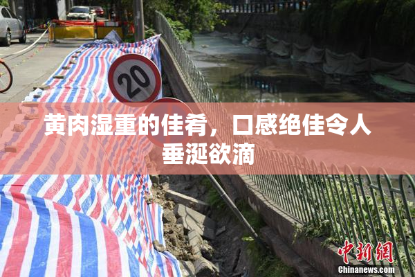 黄肉湿重的佳肴，口感绝佳令人垂涎欲滴