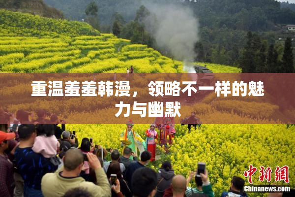 重温羞羞韩漫，领略不一样的魅力与幽默