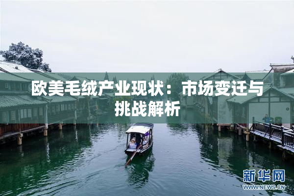 欧美毛绒产业现状：市场变迁与挑战解析
