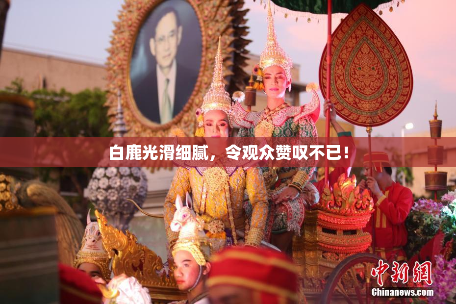白鹿光滑细腻，令观众赞叹不已！
