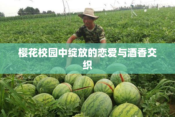 樱花校园中绽放的恋爱与酒香交织