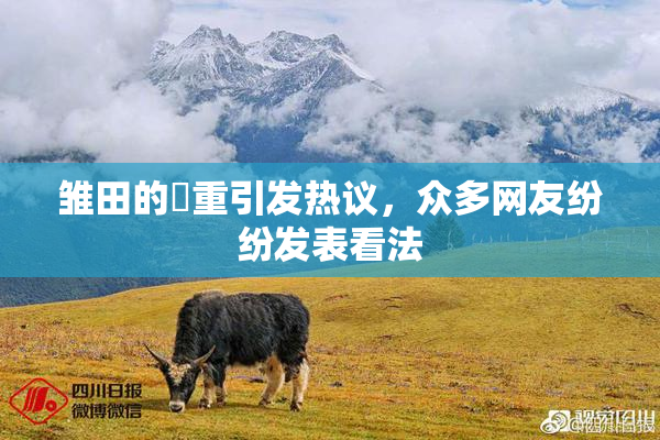 雏田的婬重引发热议，众多网友纷纷发表看法