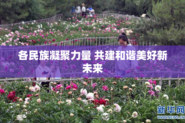 各民族凝聚力量 共建和谐美好新未来