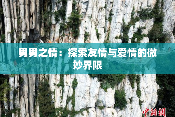 男男之情：探索友情与爱情的微妙界限