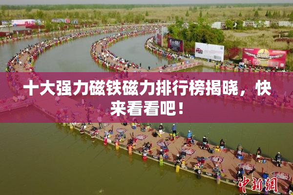 十大强力磁铁磁力排行榜揭晓，快来看看吧！