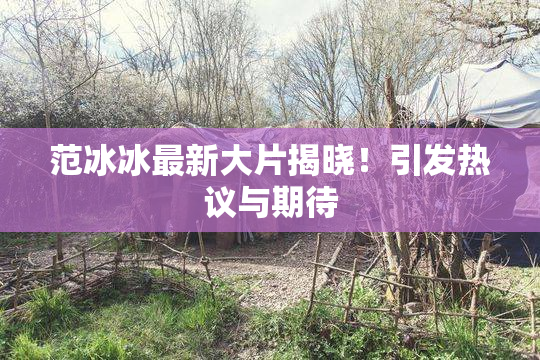 范冰冰最新大片揭晓！引发热议与期待