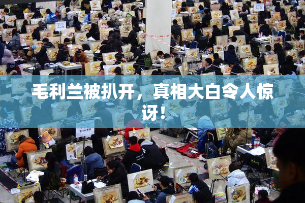 毛利兰被扒开，真相大白令人惊讶！