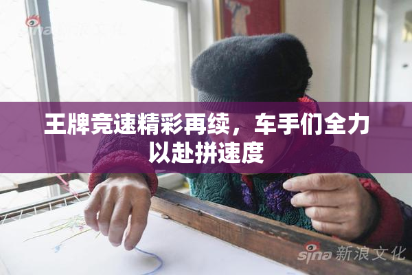 王牌竞速精彩再续，车手们全力以赴拼速度
