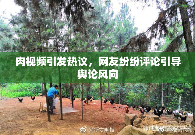 肉视频引发热议，网友纷纷评论引导舆论风向