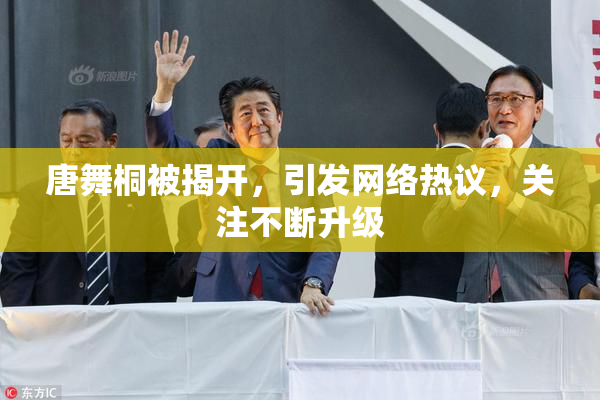 唐舞桐被揭开，引发网络热议，关注不断升级