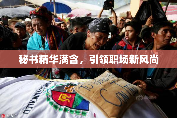 秘书精华满含，引领职场新风尚