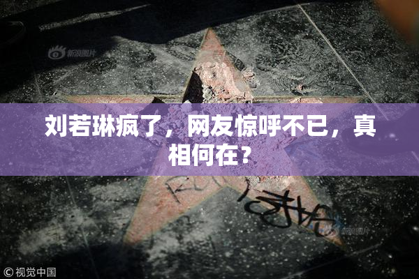 刘若琳疯了，网友惊呼不已，真相何在？