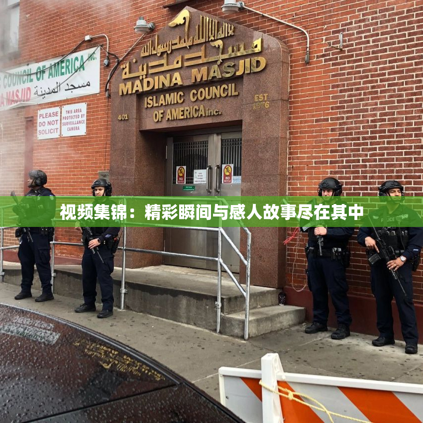 视频集锦：精彩瞬间与感人故事尽在其中