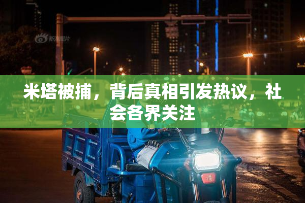 米塔被捕，背后真相引发热议，社会各界关注