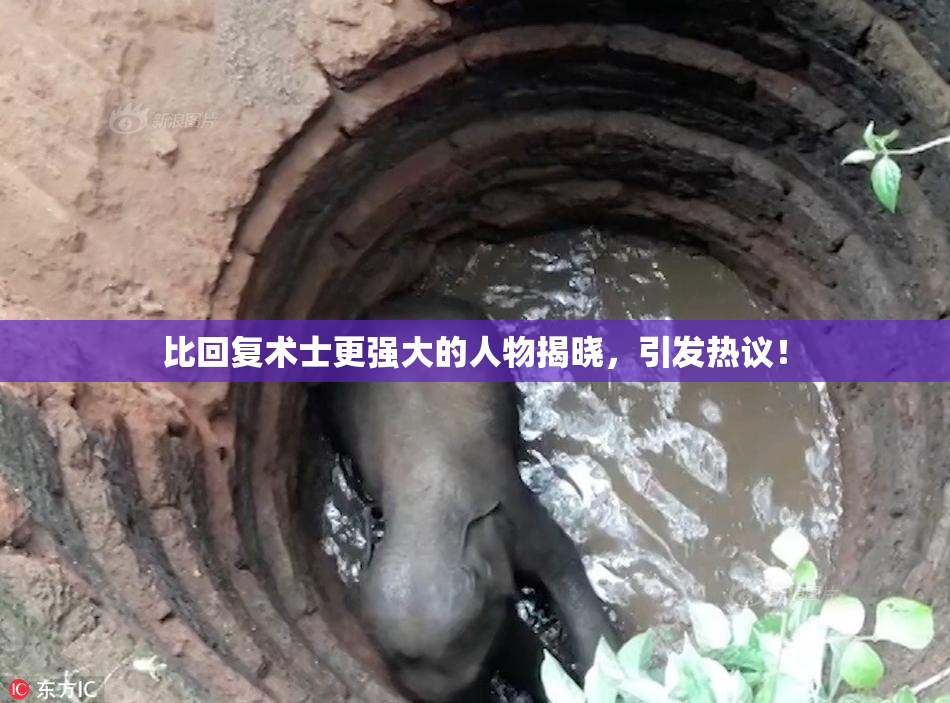 比回复术士更强大的人物揭晓，引发热议！