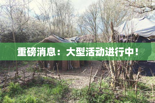 重磅消息：大型活动进行中！