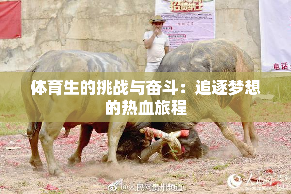 体育生的挑战与奋斗：追逐梦想的热血旅程