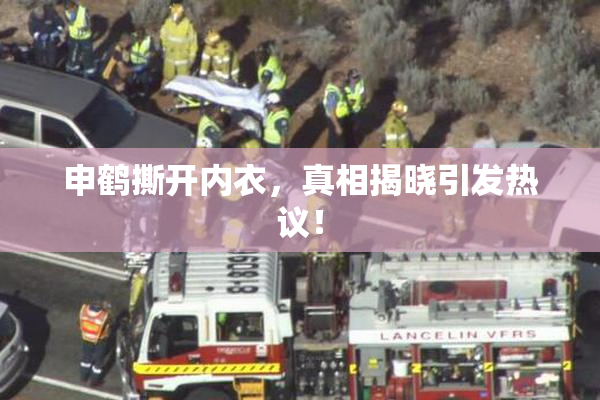 申鹤撕开内衣，真相揭晓引发热议！