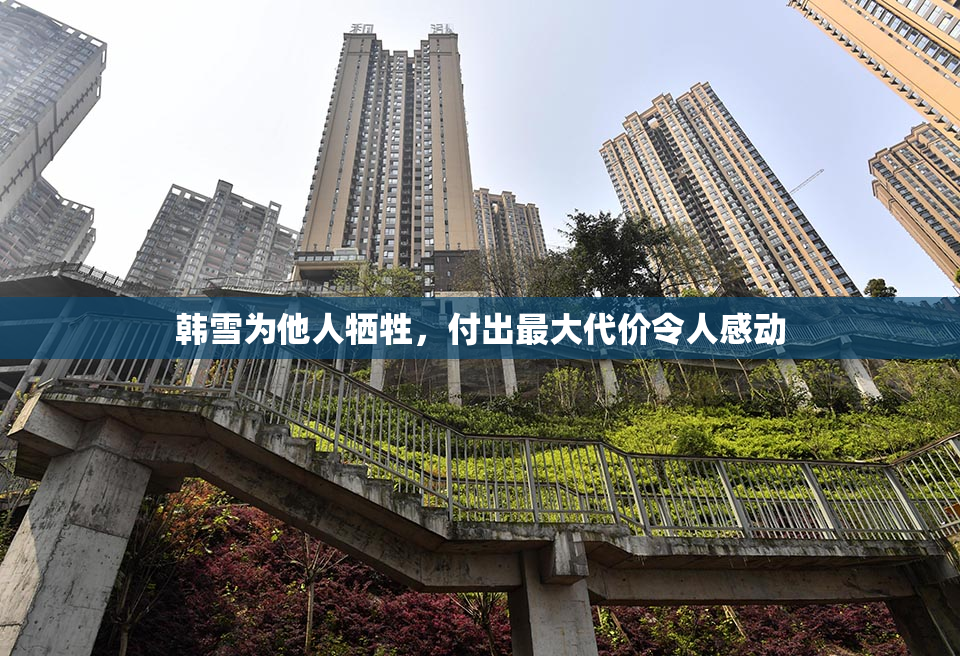 韩雪为他人牺牲，付出最大代价令人感动